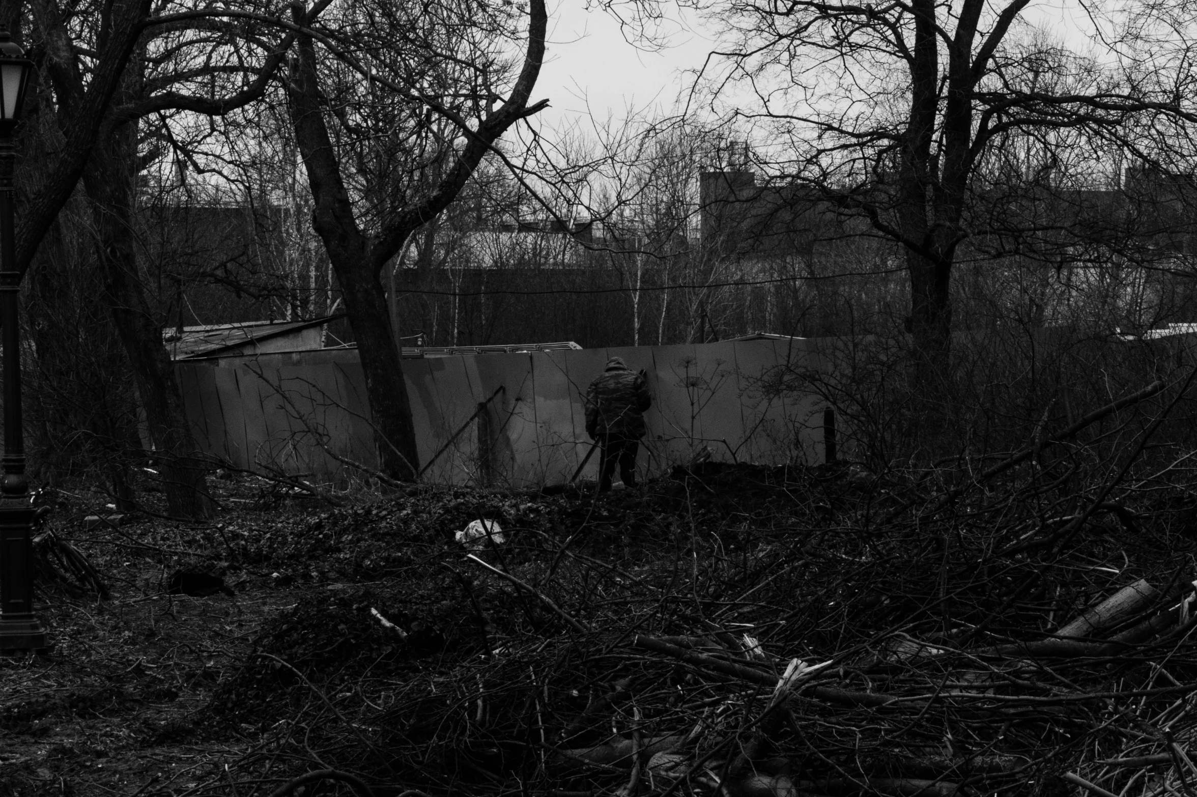 an old man walking in the park surrounded by trees