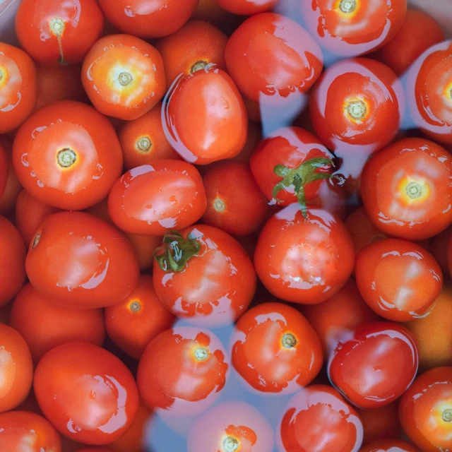 a white container filled with lots of tomatoes