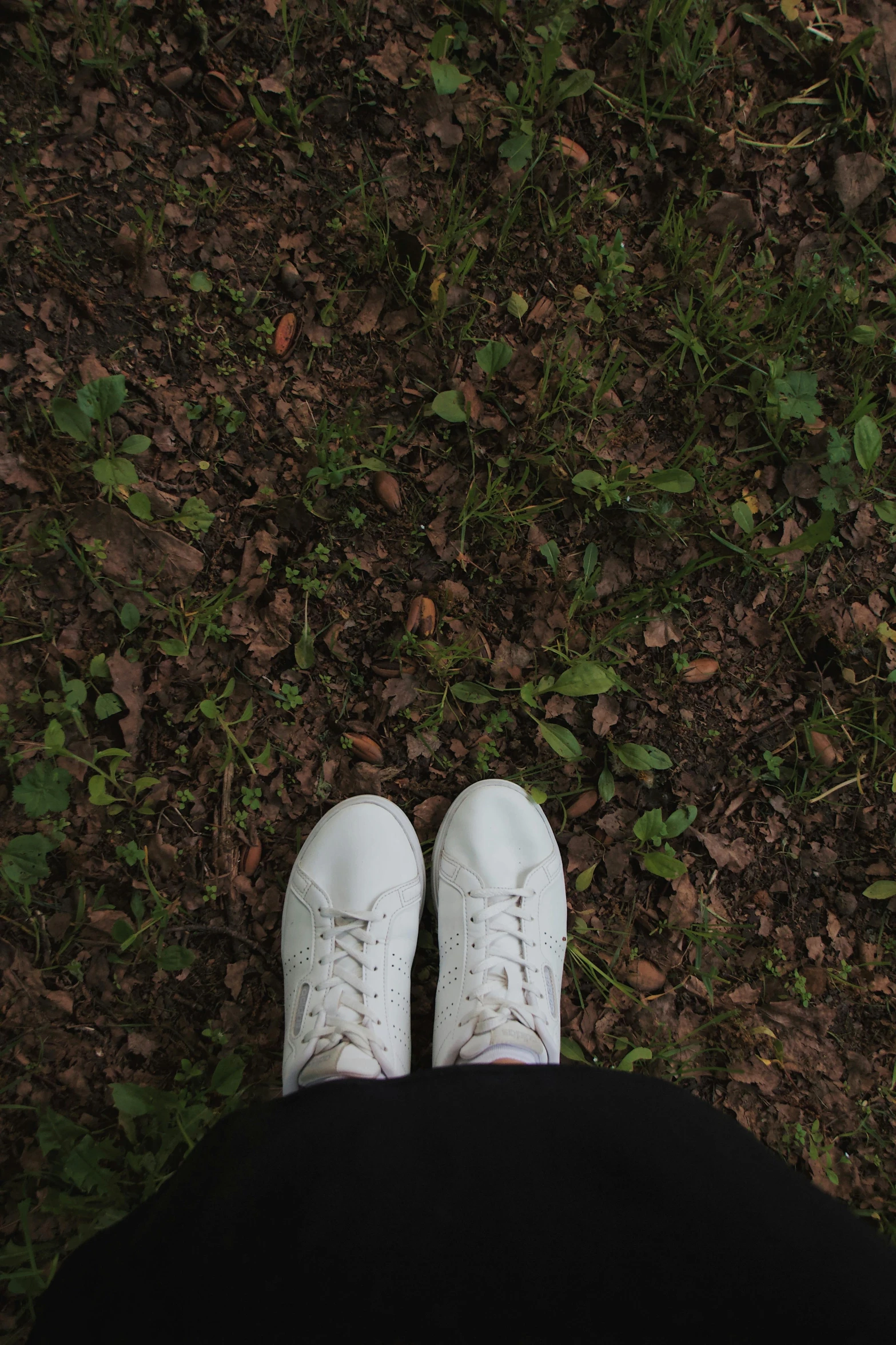 a person wearing white sneakers standing in the grass