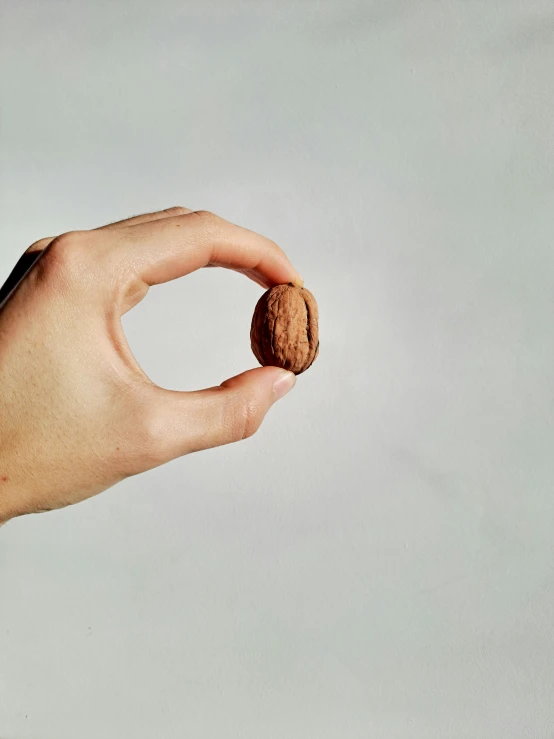 there is a hand that has two nuts on it