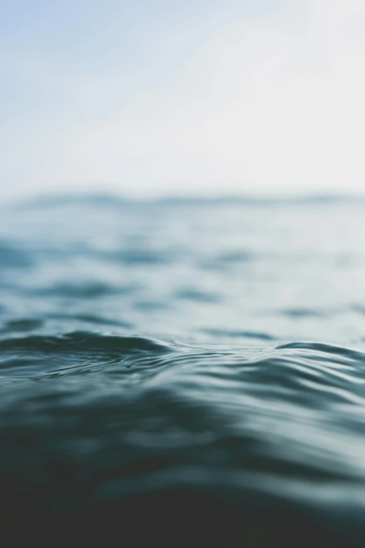 a small bird sitting on top of an ocean