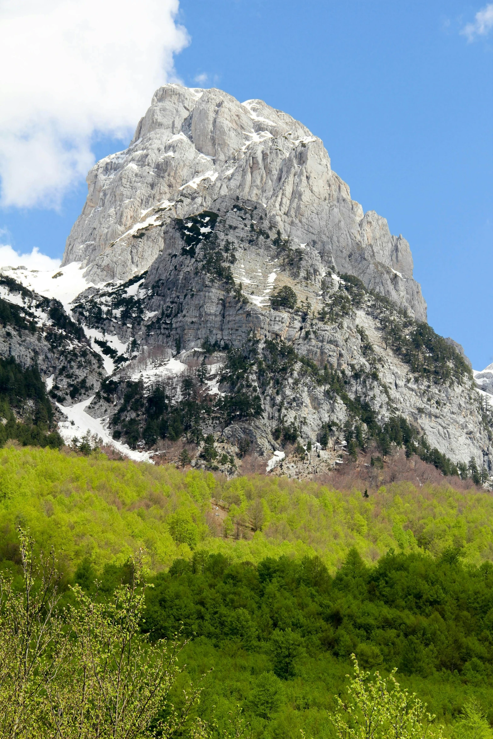 a view of a mountain range and a lush green field