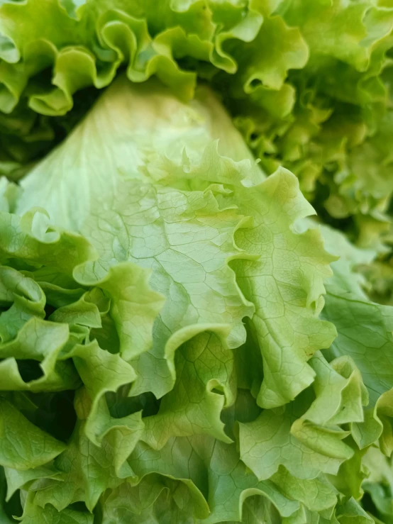 some lettuce is sitting on the table