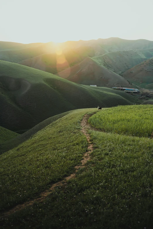 a dirt road on a grassy hill in the distance