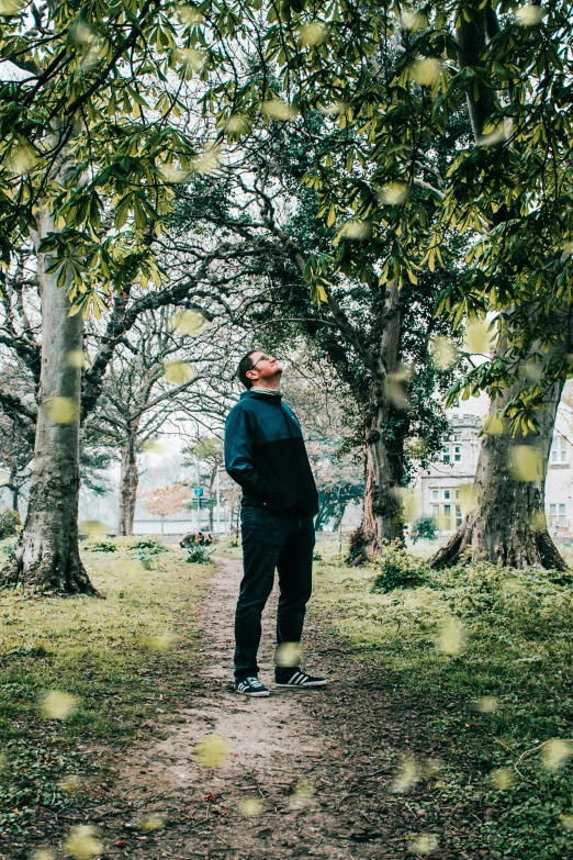 a man is standing on a trail beneath trees