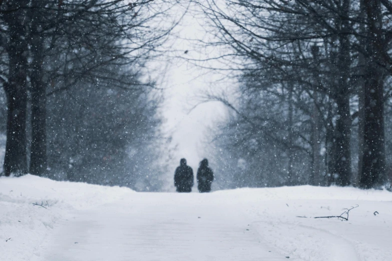 two people walking down a snowy trail through the woods