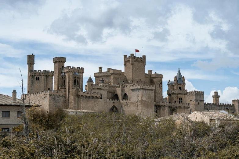 a very tall castle near some trees