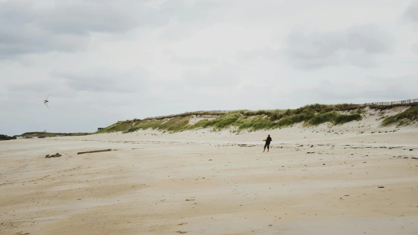 an image of person flying a kite on beach