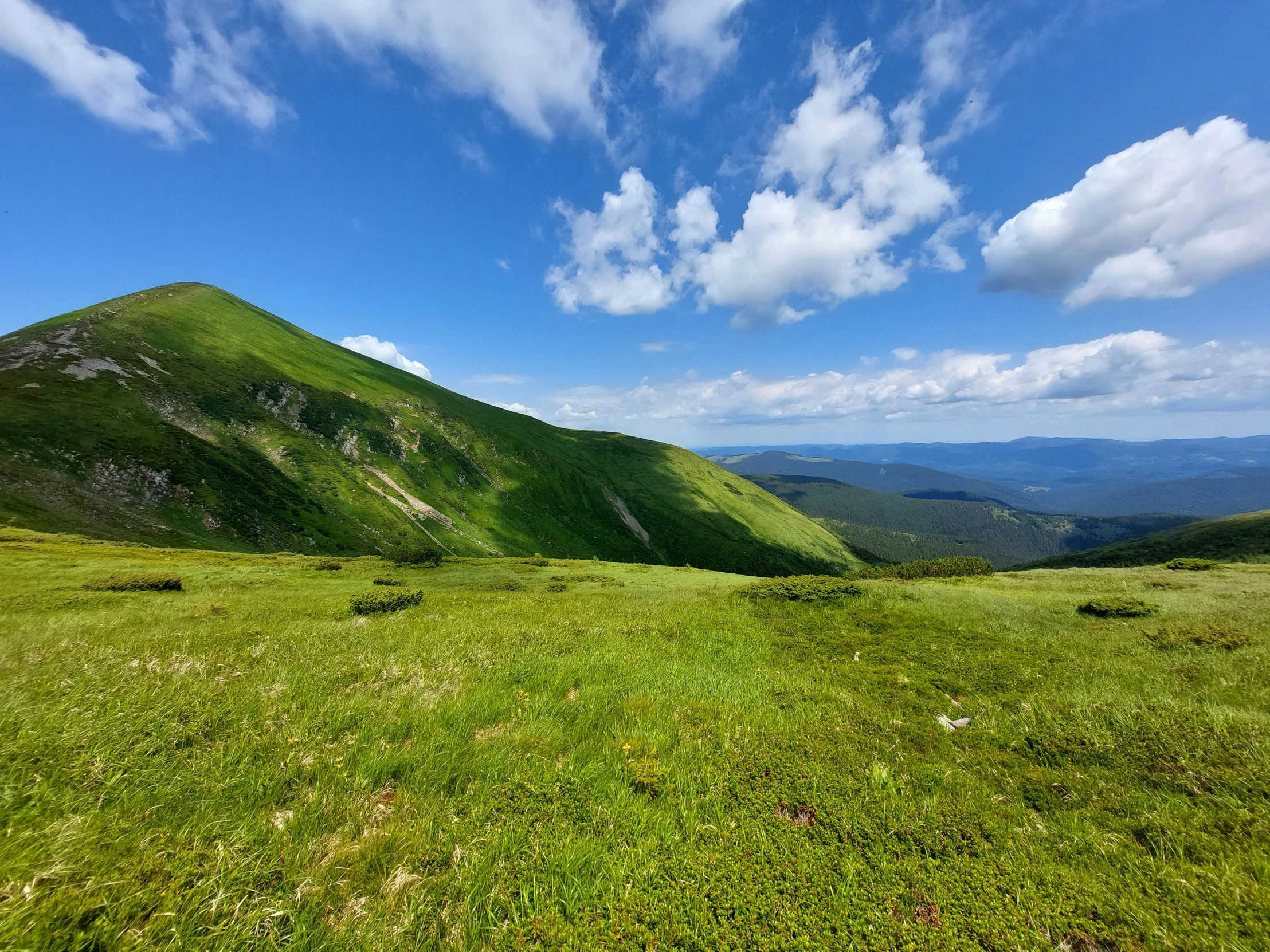 a hill top with green grass and blue sky