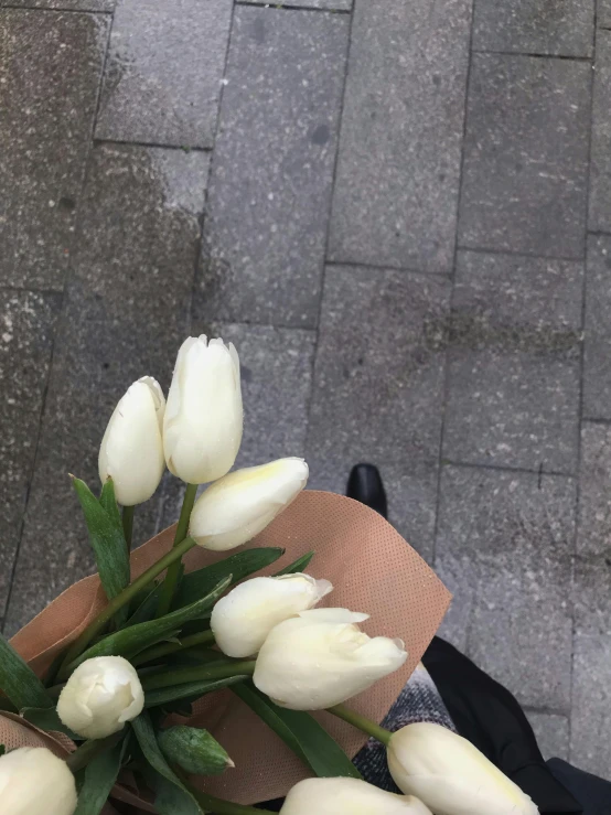 white flowers with green stems laying on a sidewalk