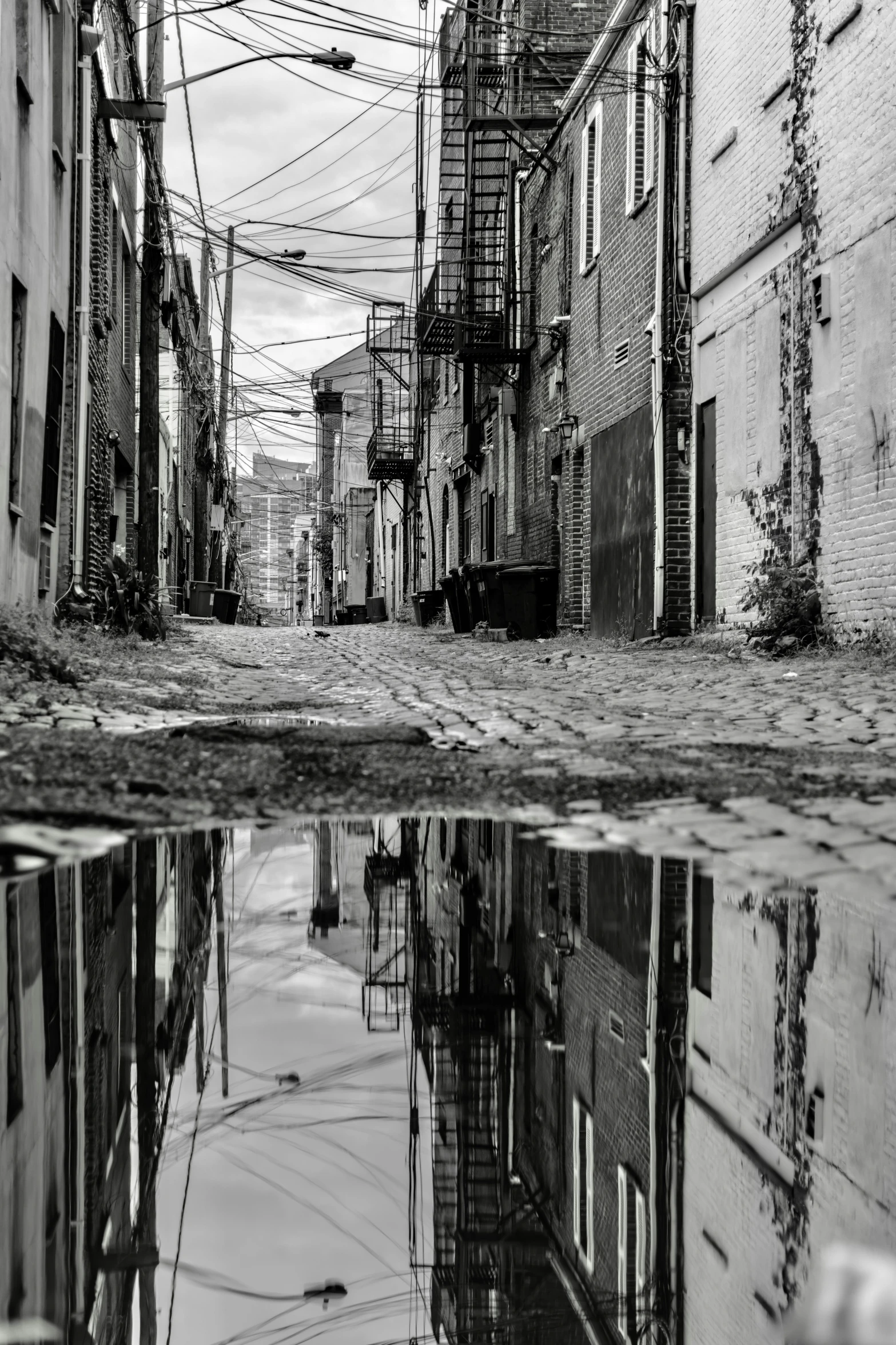 reflection of street lights in water and buildings