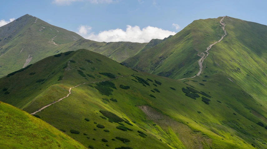 a very green mountain landscape with some bushes