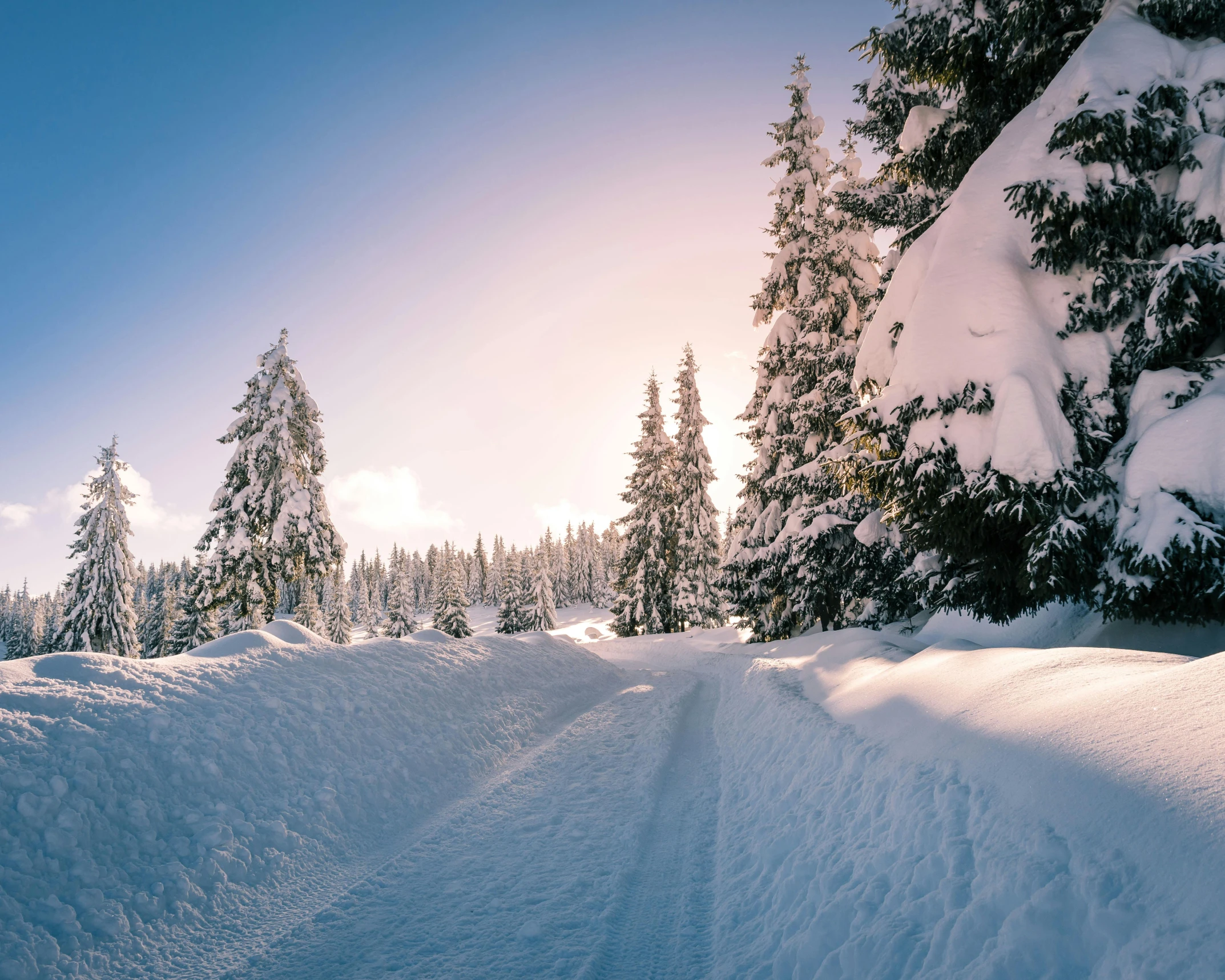 a snowboarder doing tricks near some trees on a hill