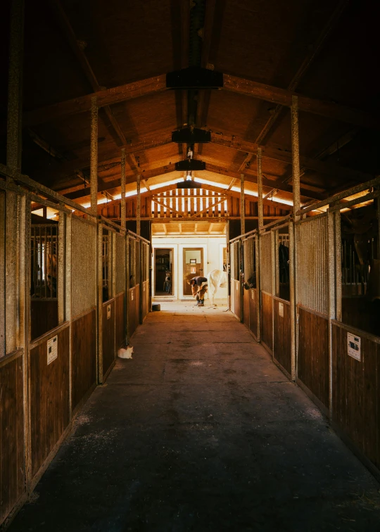 a room full of windows and walls with wooden doors