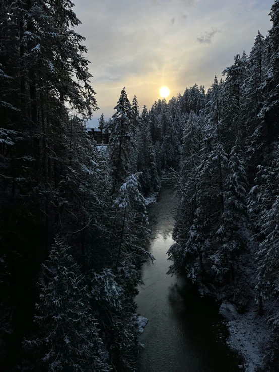 a view of a river next to some trees