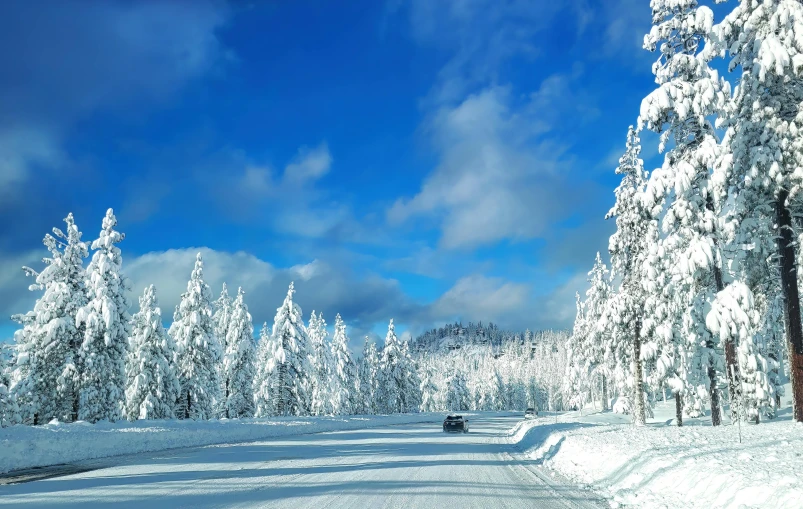 snow covered road passing by evergreen forest under cloudy sky