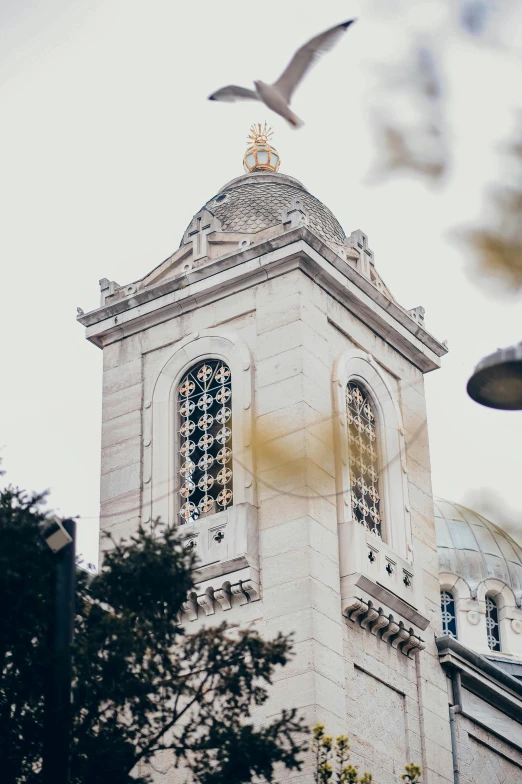 the top of an old white building with a gold cross at the center and seagulls flying around