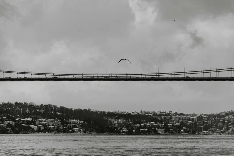 a man riding on the back of a surfboard under a bridge