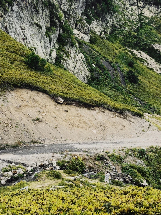 an animal walking along a dirt road in front of a mountain