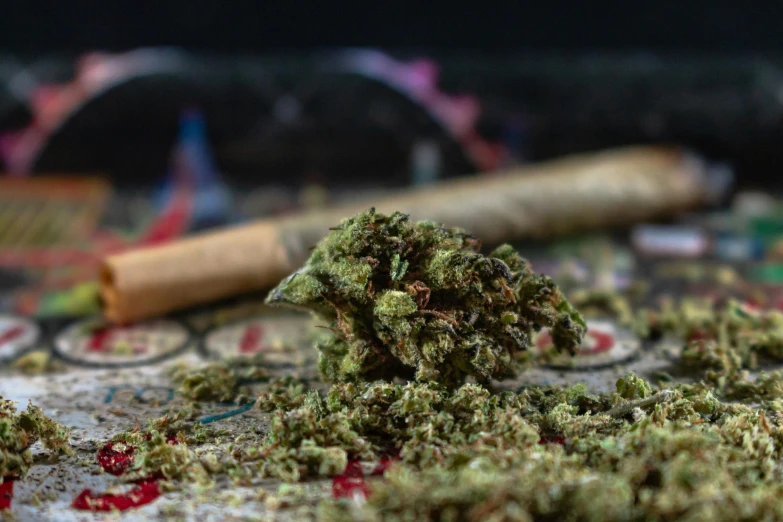 cannabis leaves sitting on top of a table