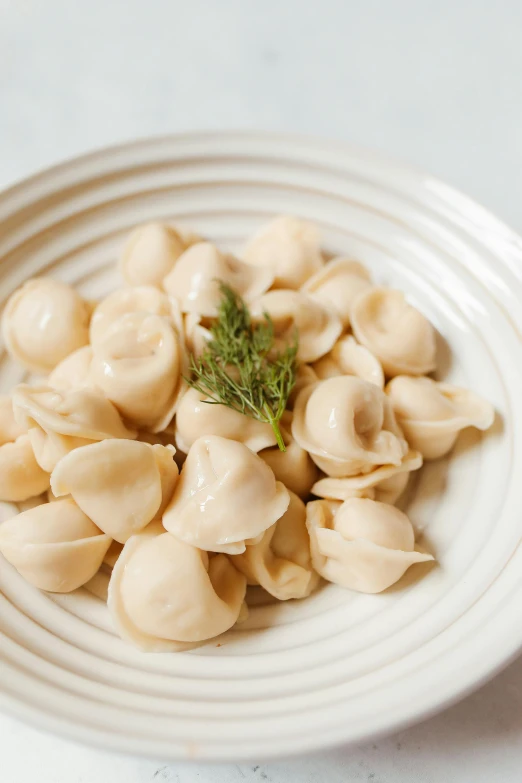 a white plate full of pasta with a small sprig of green