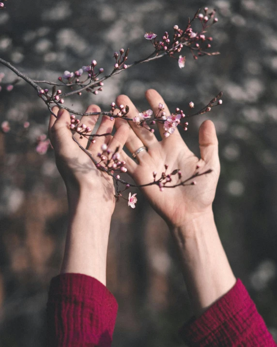 someone holds up their ring while looking at a nch with pink flowers