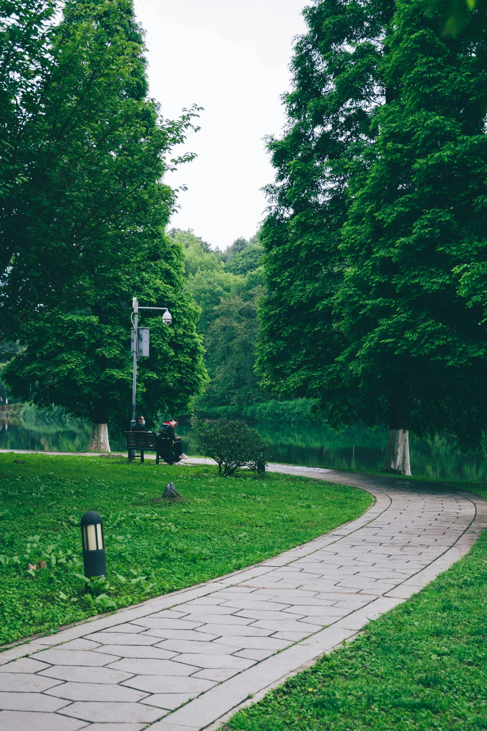 a park with walkway and trees, with green grass