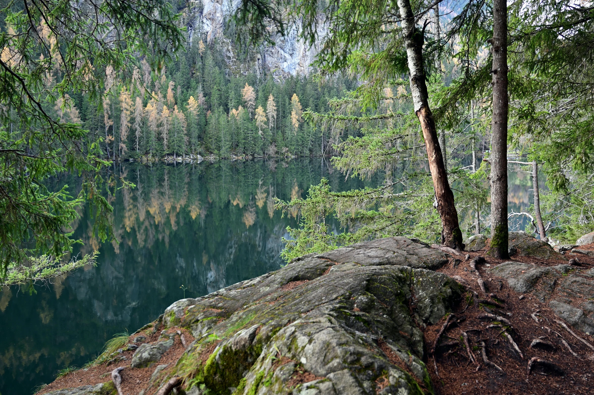 the view of trees, water and rocks from the top of a mountain