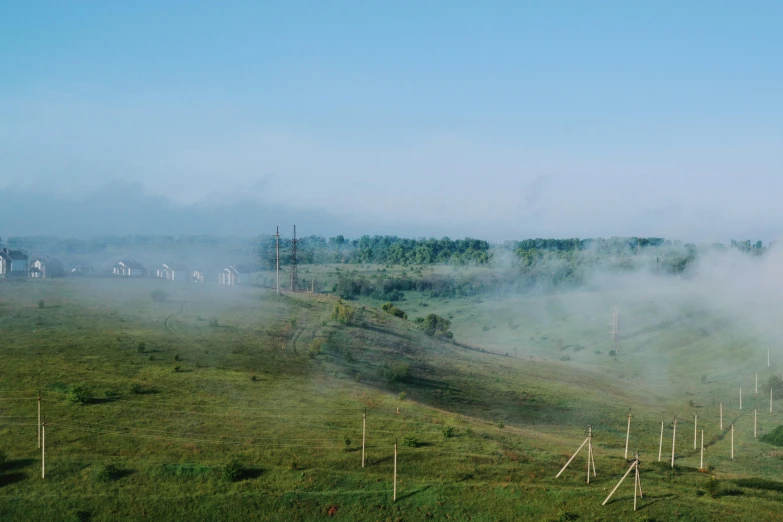 a landscape view of some trees in the distance