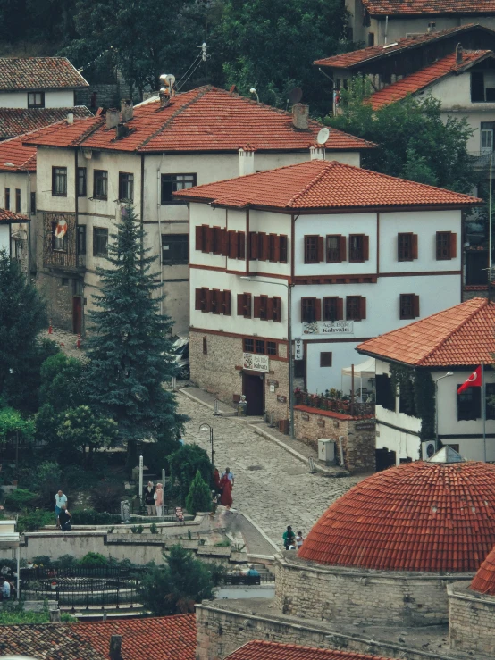 a group of houses are in the background and a tree stands out among them