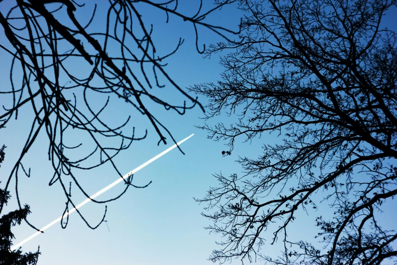 an airplane is flying over the trees on a sunny day