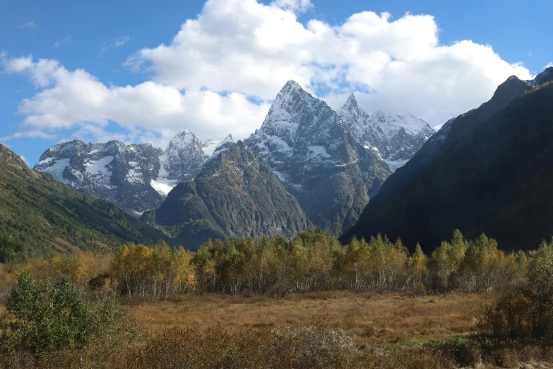 snow covered mountains and the grassy area