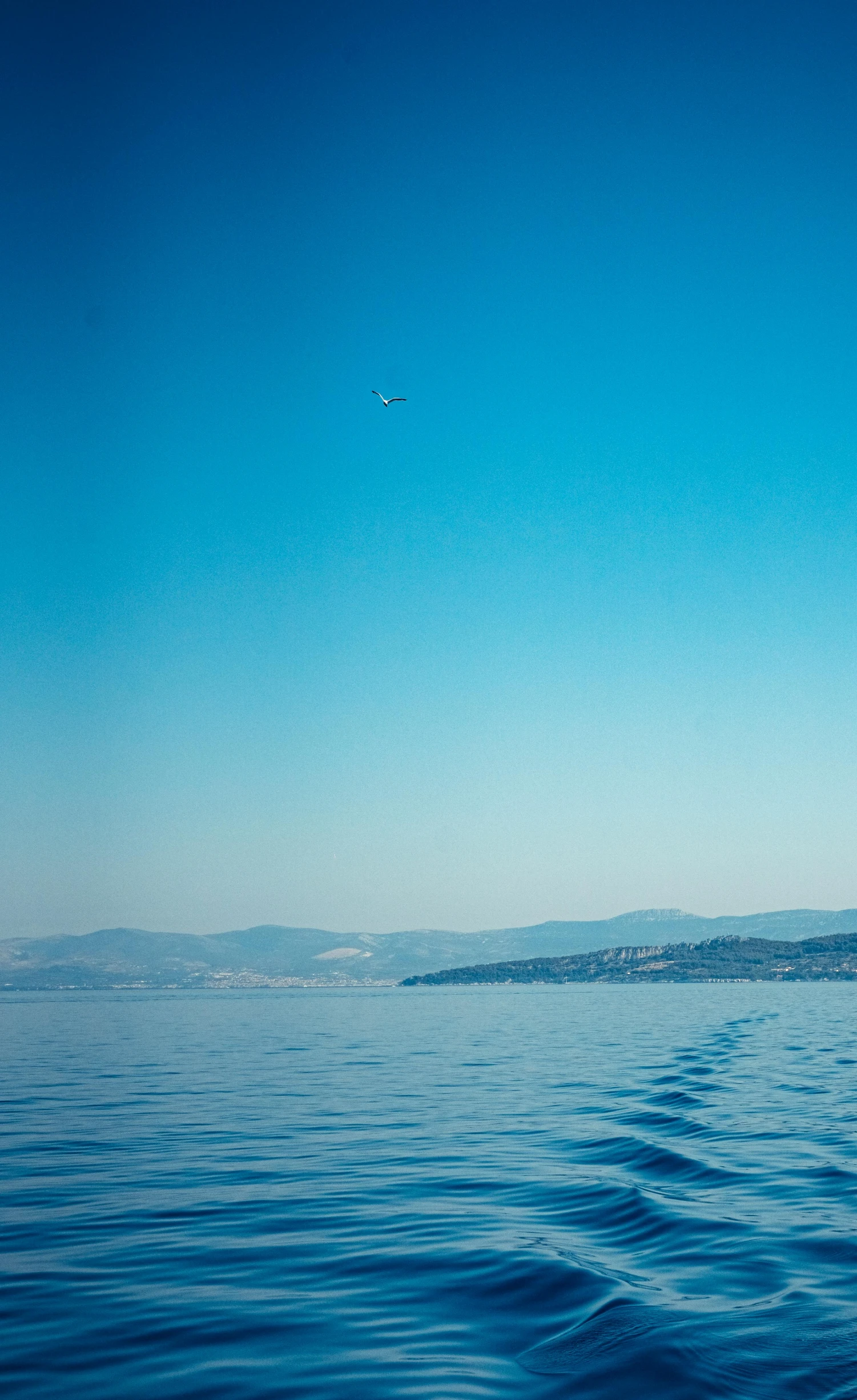 a plane is flying over water with mountains and houses in the distance