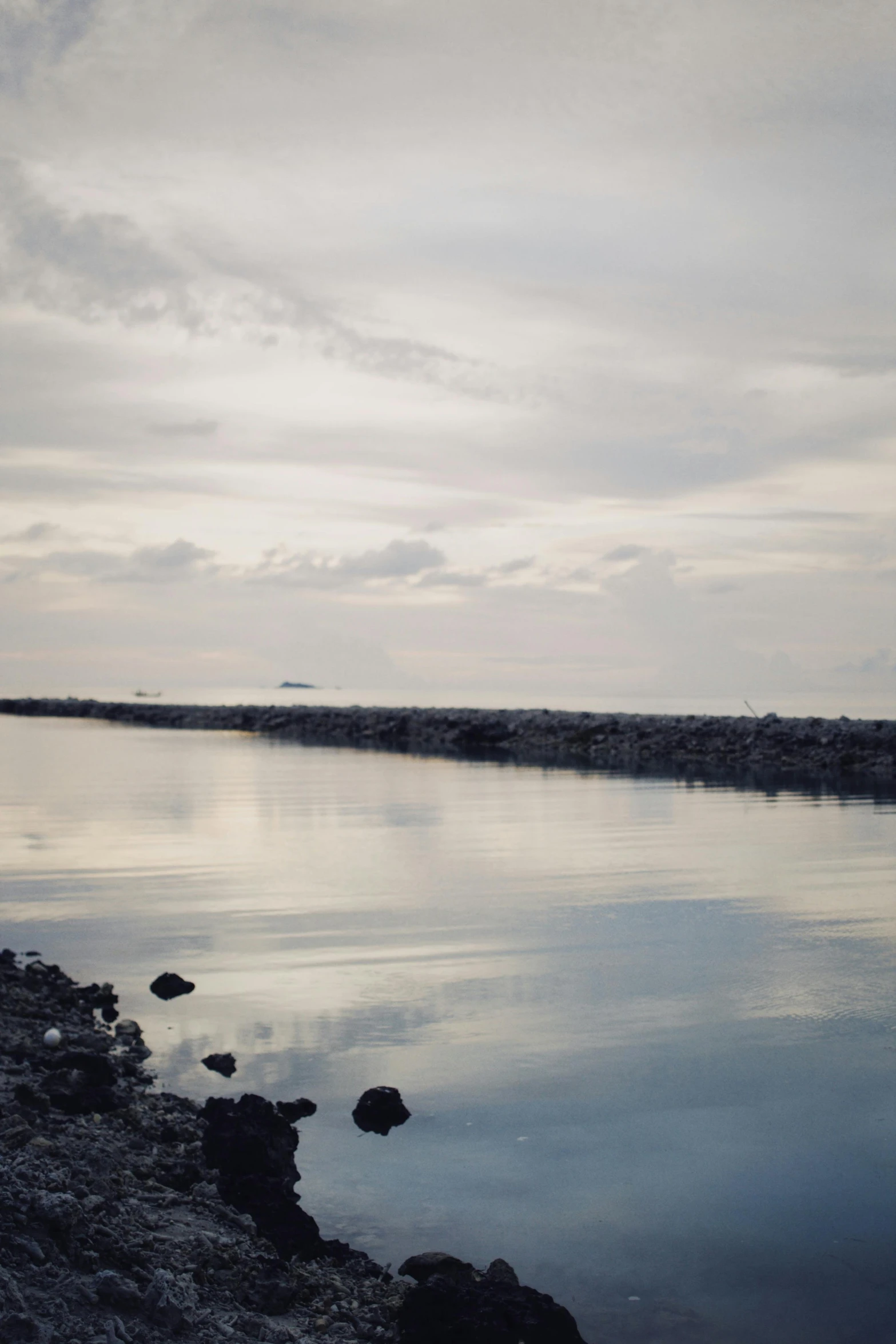 a lone bird sitting on the bank of a calm lake