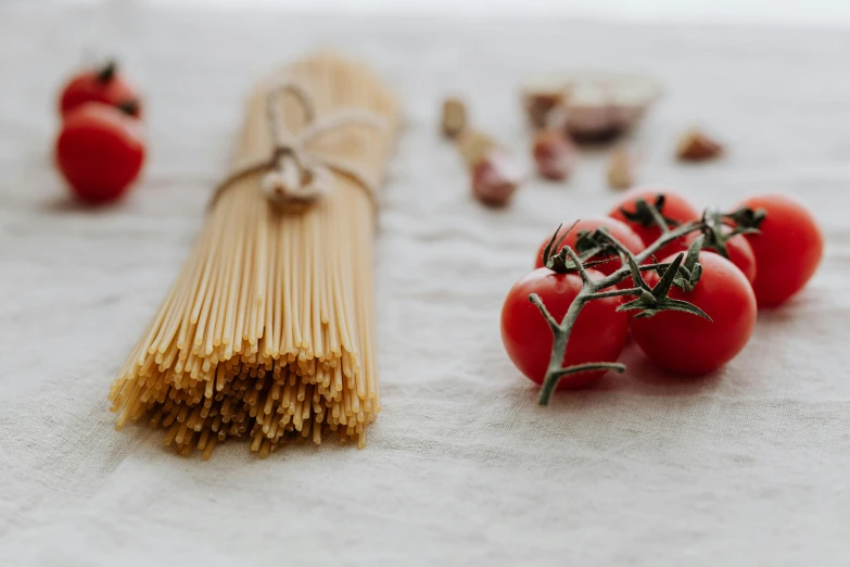 one piece of spaghetti lies next to several pieces of tomatoes