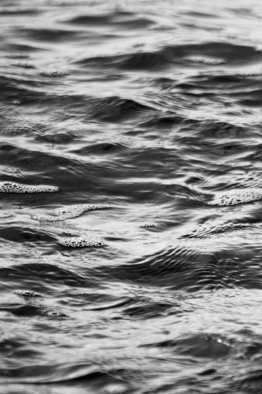 a bird sitting on a wave in the ocean