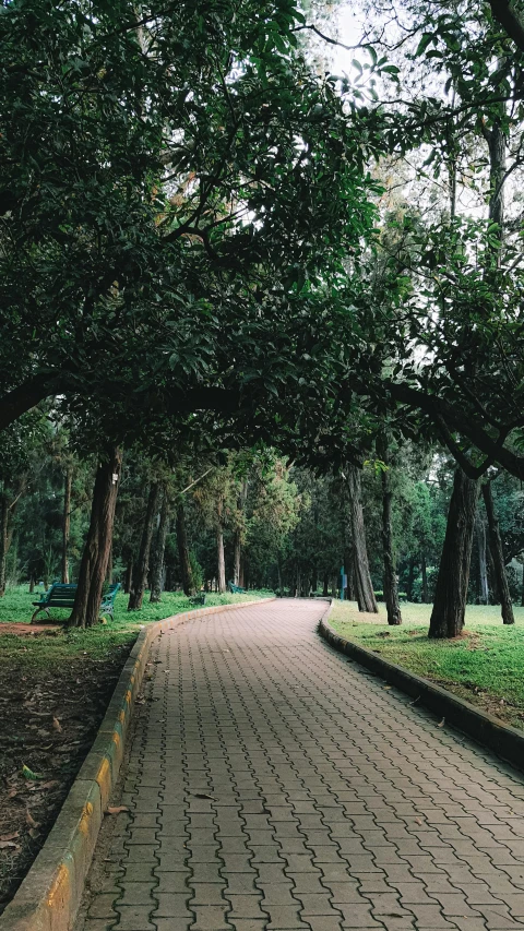 a brick street and walkway in a park