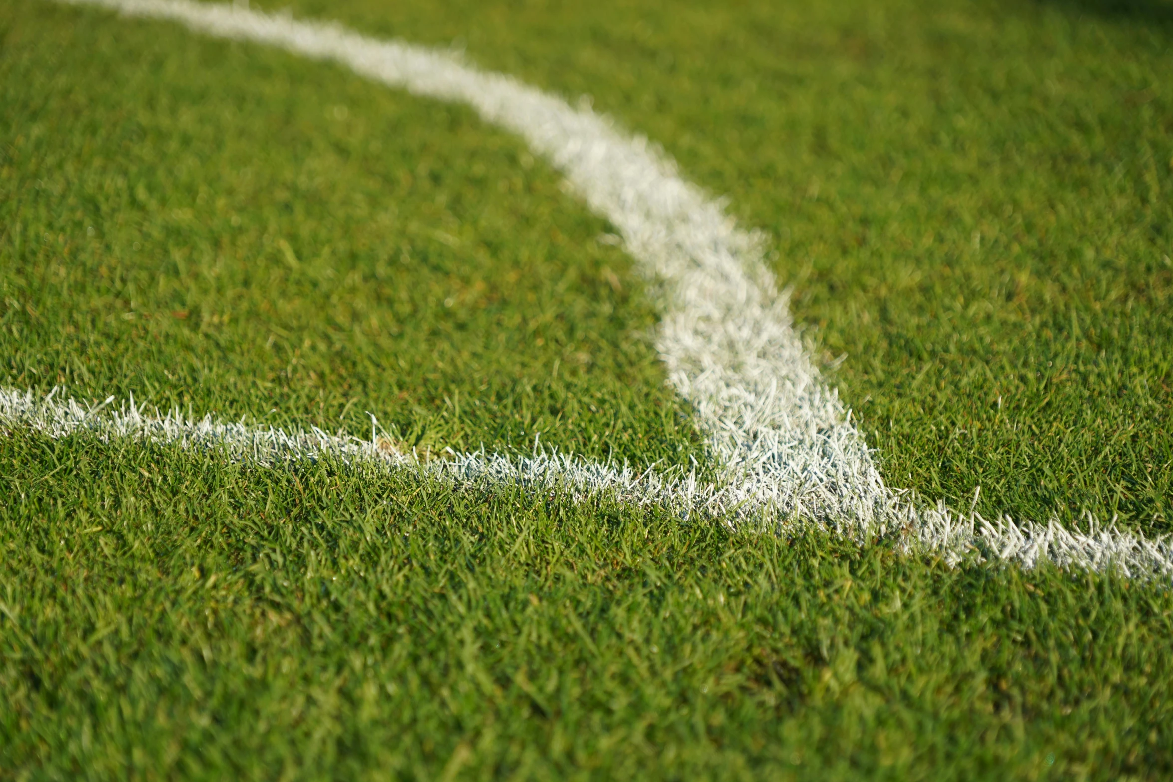 a white line on a field painted with green grass