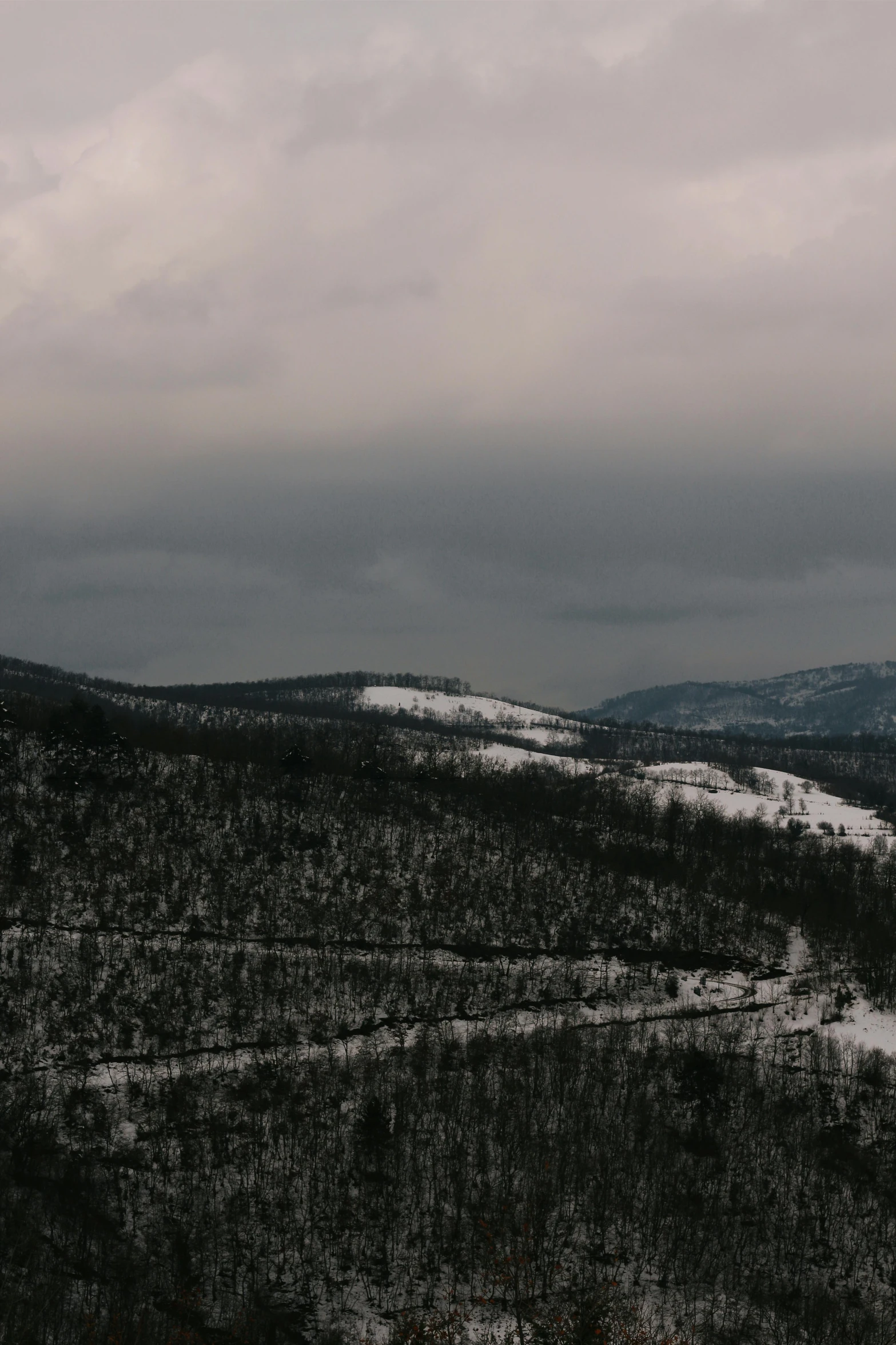 some trees snow bushes and hills on a cloudy day