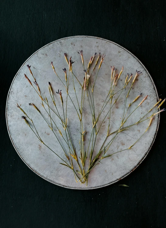 dried flowers are arranged on an old tray