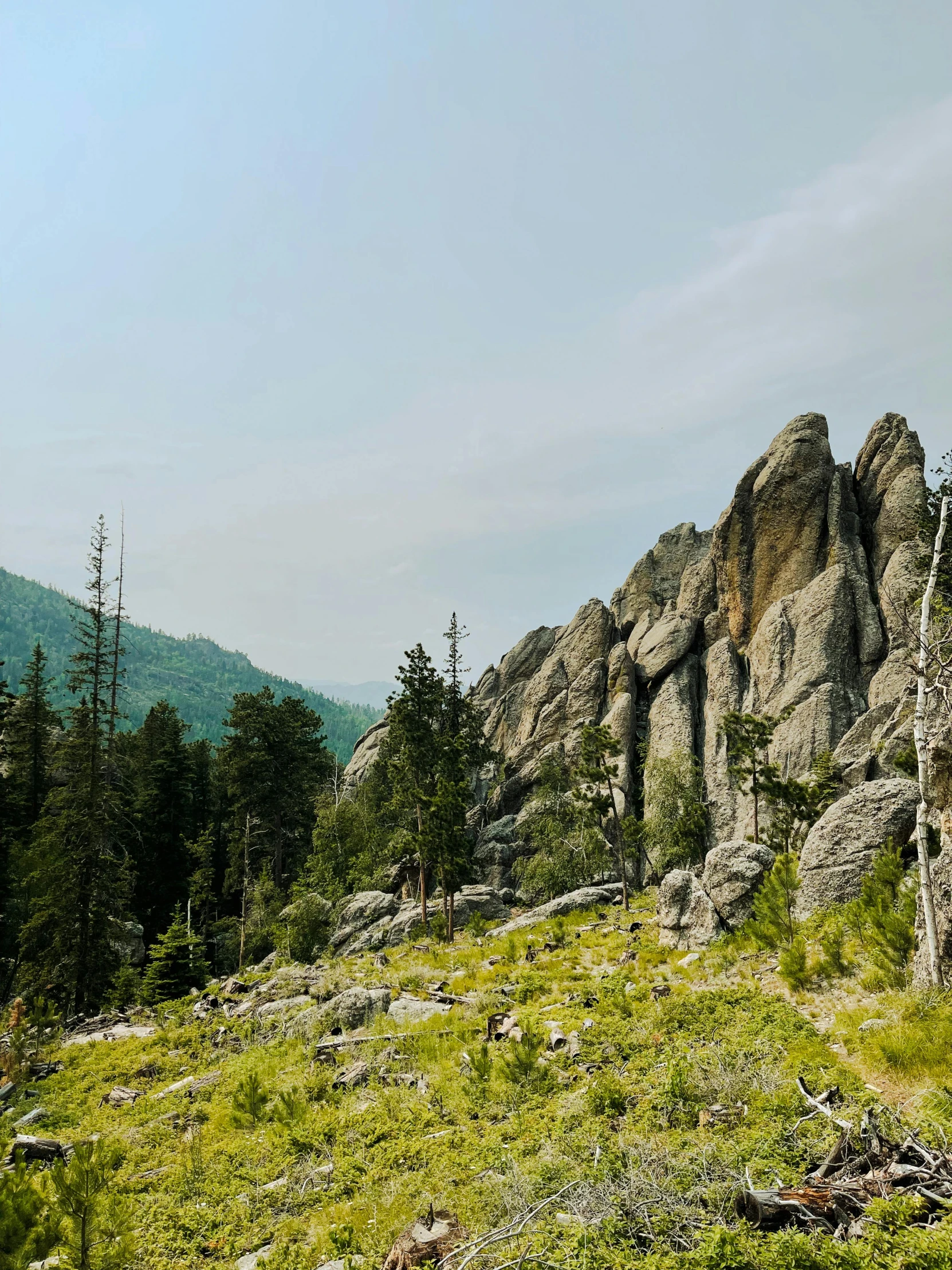 the mountains have grass, rocks and trees near them