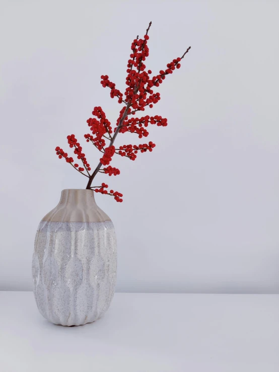 a vase that has red flowers in it