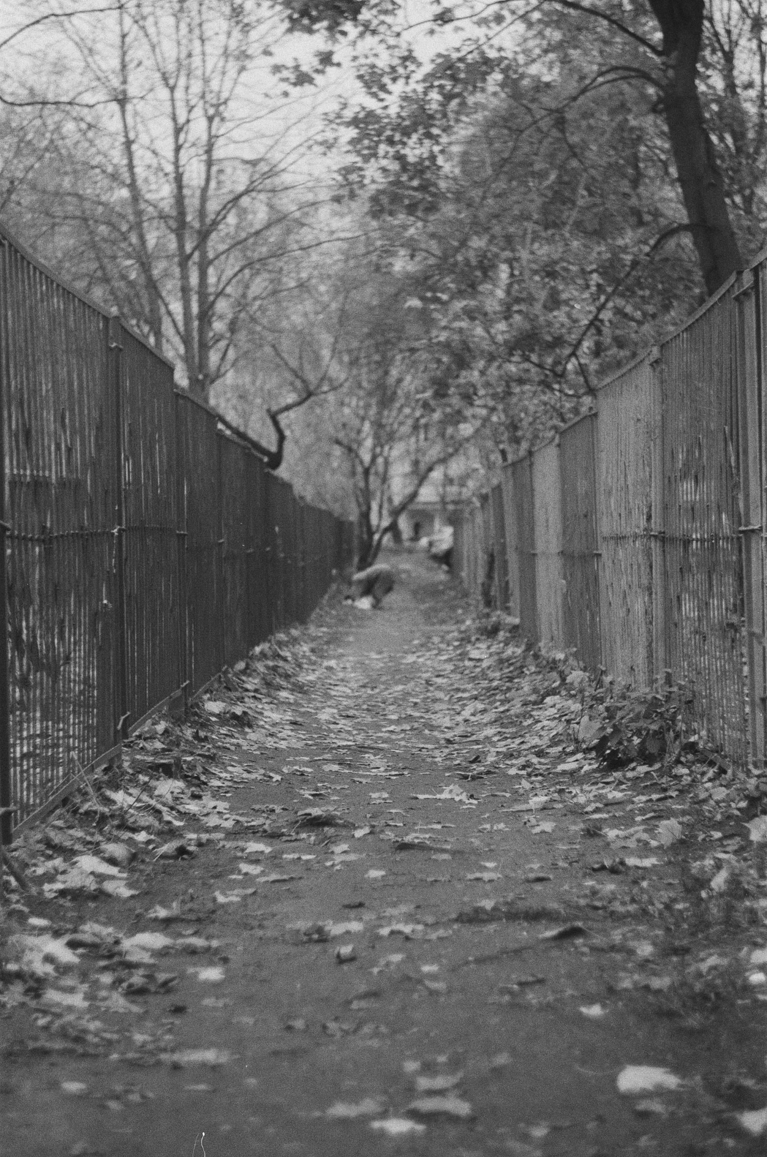 there is a path in the park next to fence