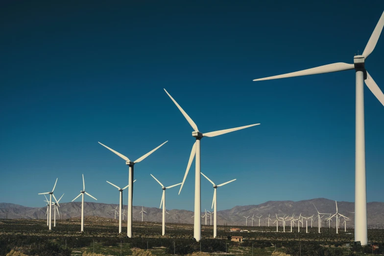 a lot of windmills are in the middle of the desert