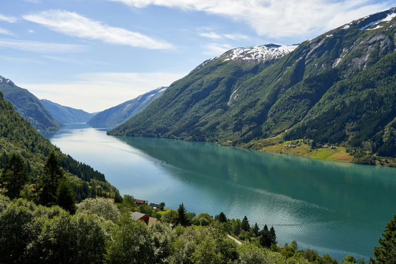 green mountains with lake surrounded by pine trees