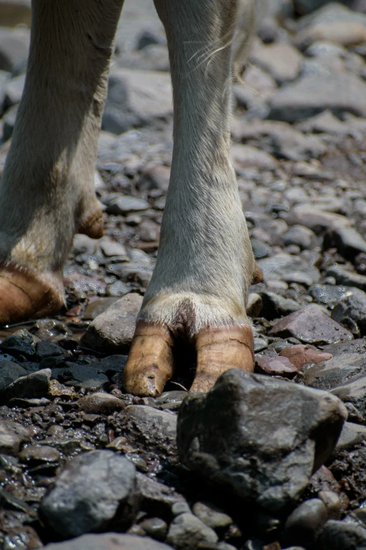 someone is putting their feet in the ground