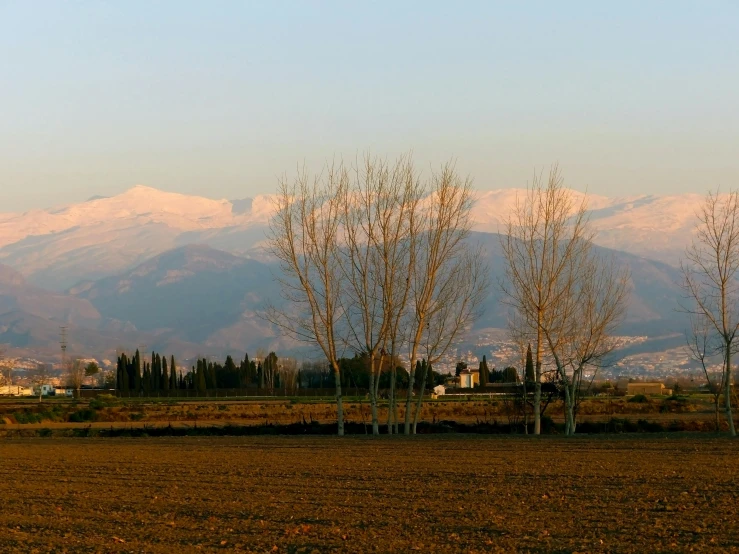 mountains in the background with bare trees and a field