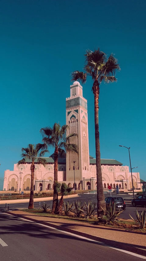 palm trees are growing next to the building