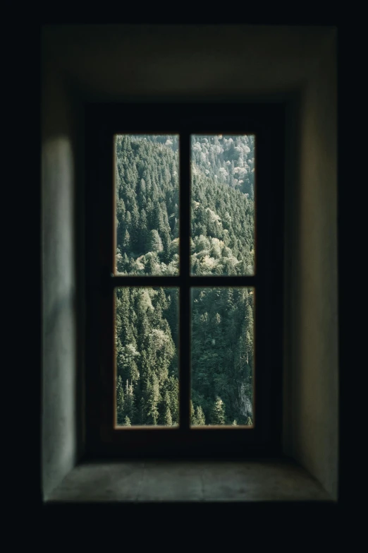 the view out of the window is of some trees