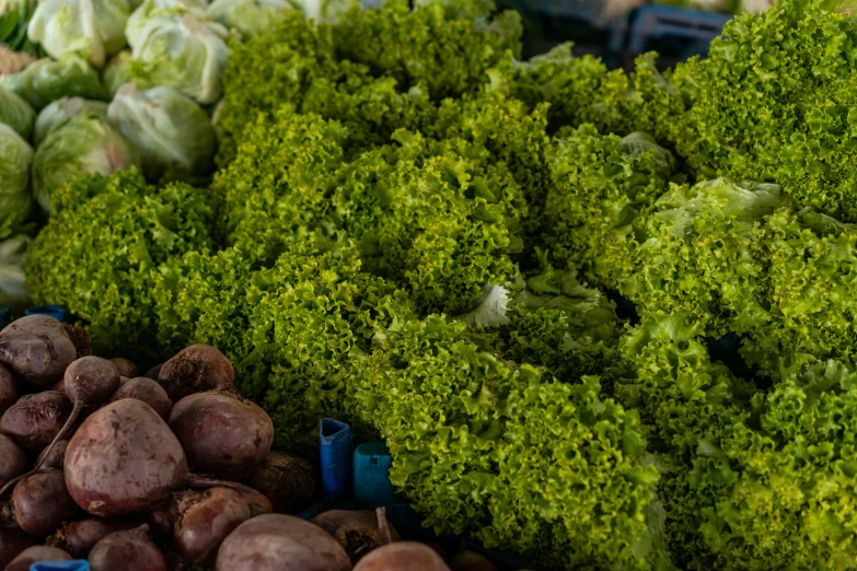 fresh lettuce and potatoes are on display for sale